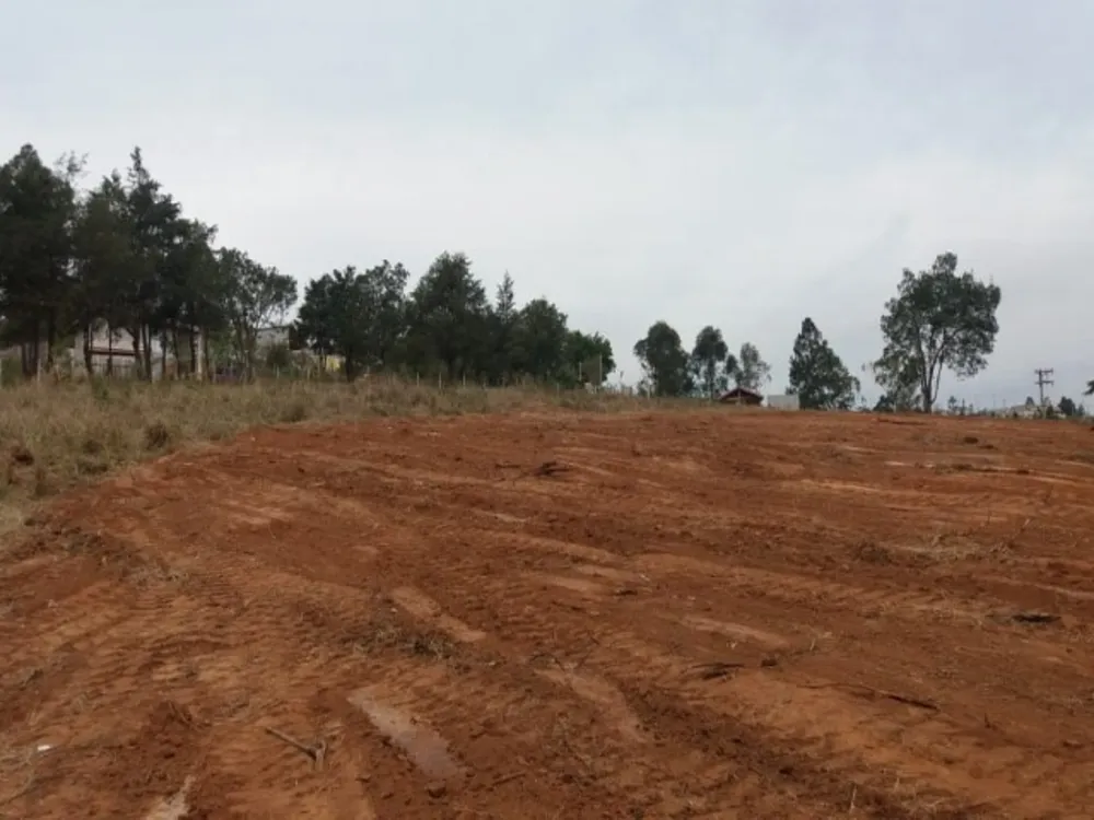 Terreno, 600 m² - Foto 5