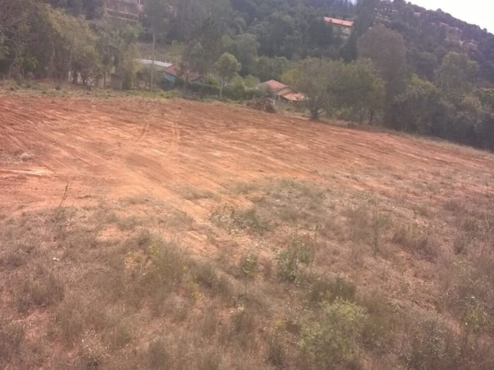Terreno, 600 m² - Foto 3