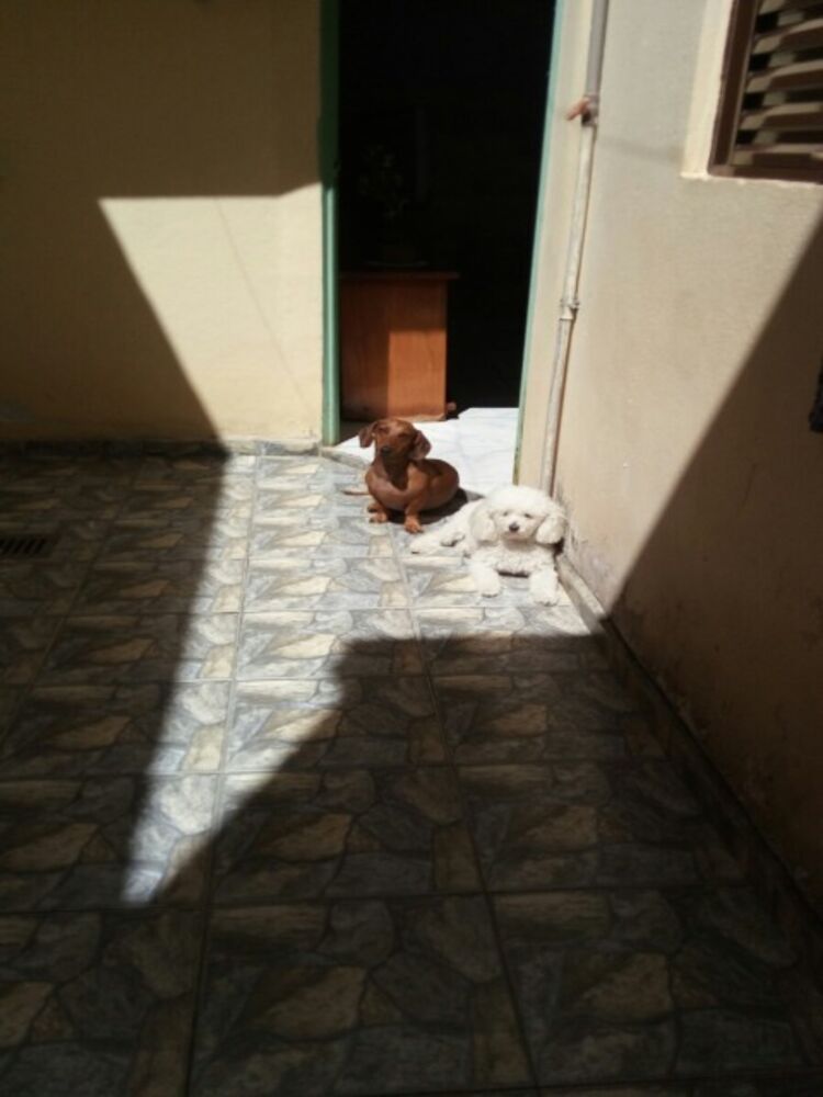 Casa, 2 quartos, 136 m² - Foto 5