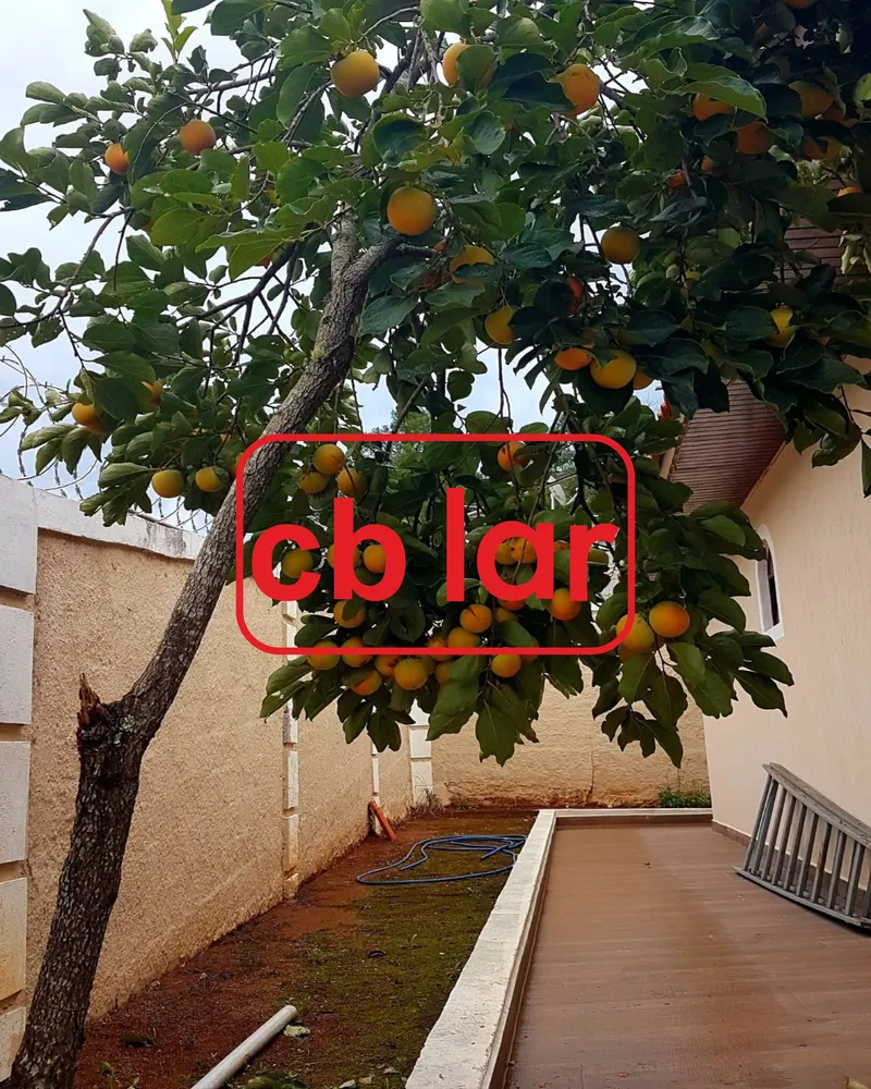 Chácara, 3 quartos, 922 m² - Foto 5