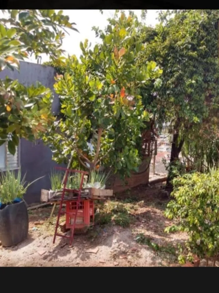 Casa, 4 quartos, 380 m² - Foto 7