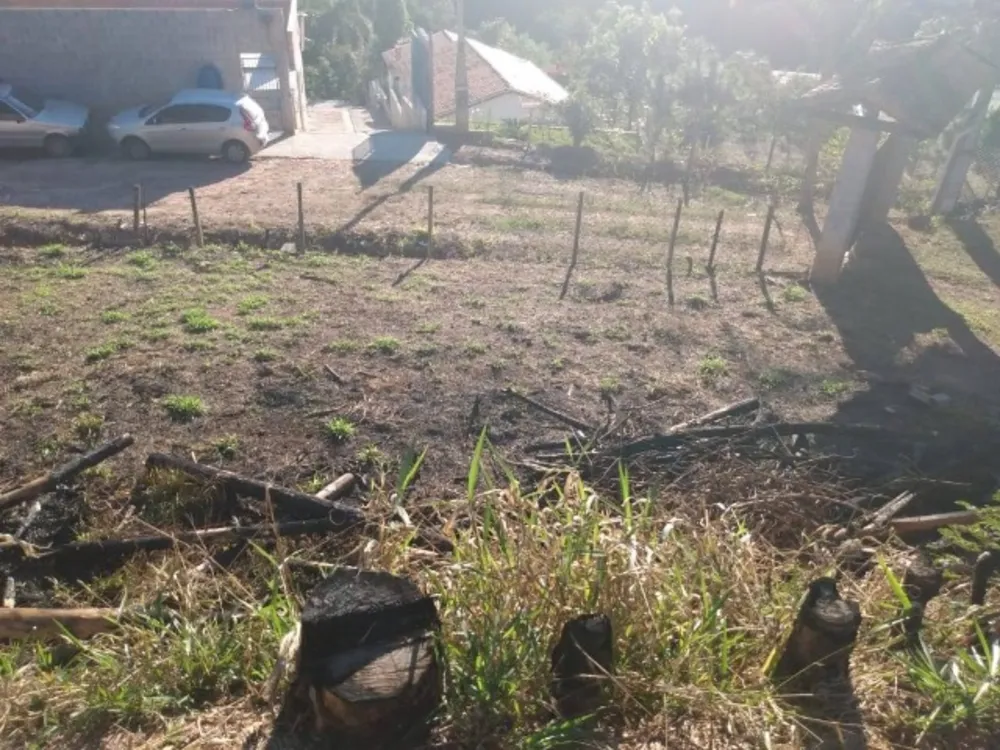 Terreno, 1000 m² - Foto 6
