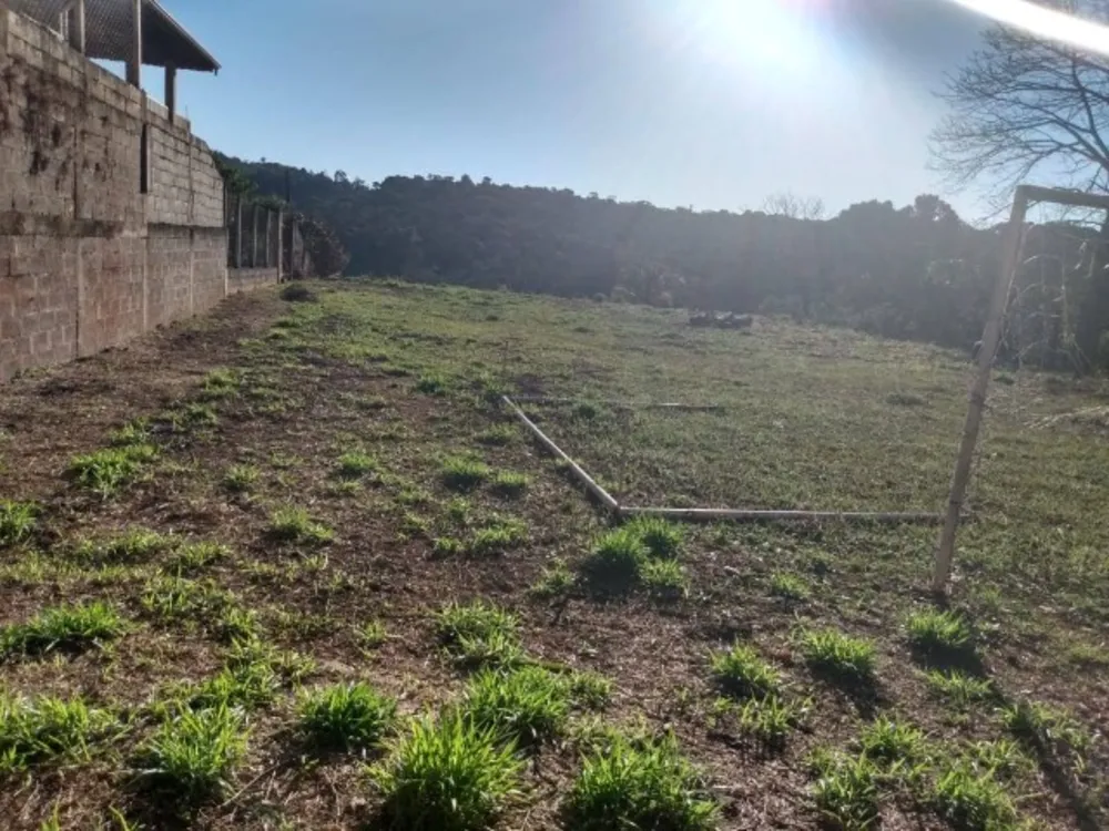 Terreno, 1000 m² - Foto 8