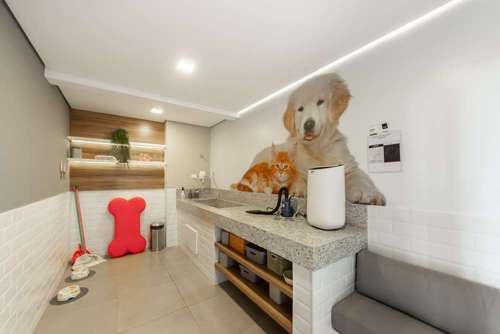Apartamento, 1 quarto, 29 m² - Foto 2