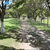 Fazenda, 28 hectares - Foto 13