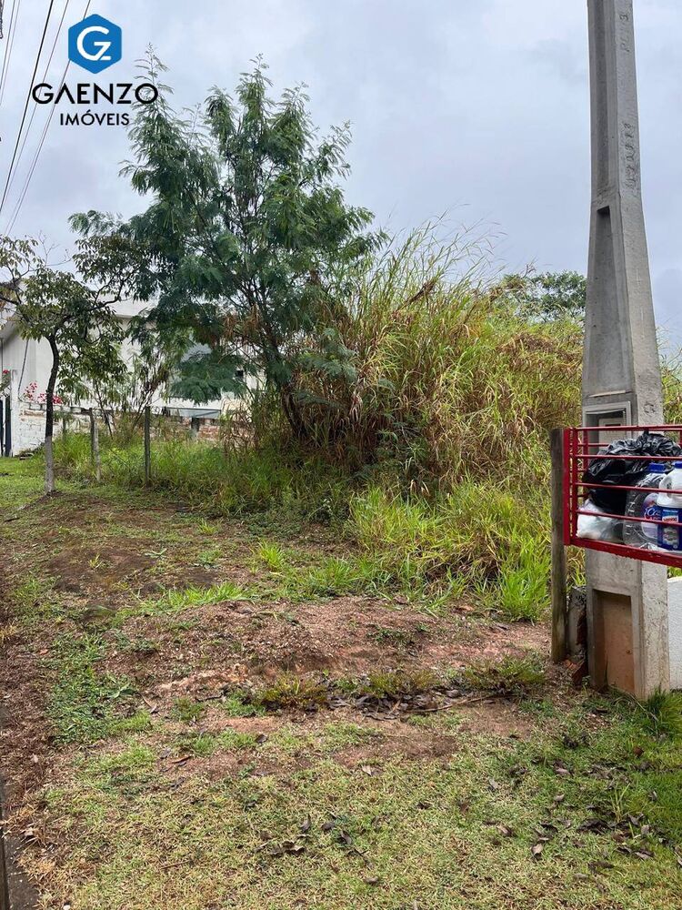 Terreno à venda, 2100m² - Foto 3