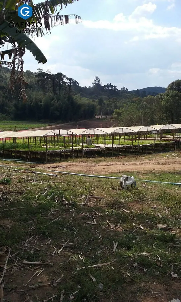 Terreno, 15 hectares - Foto 3