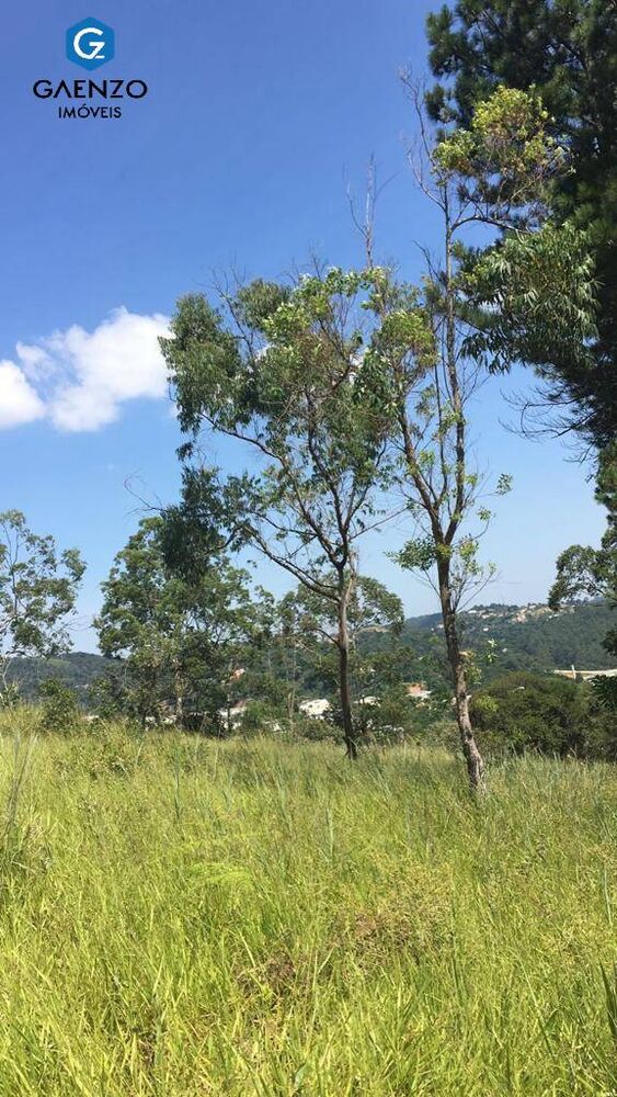 Terreno, 2 hectares - Foto 4