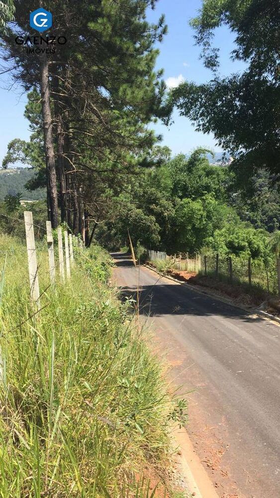 Terreno, 2 hectares - Foto 3