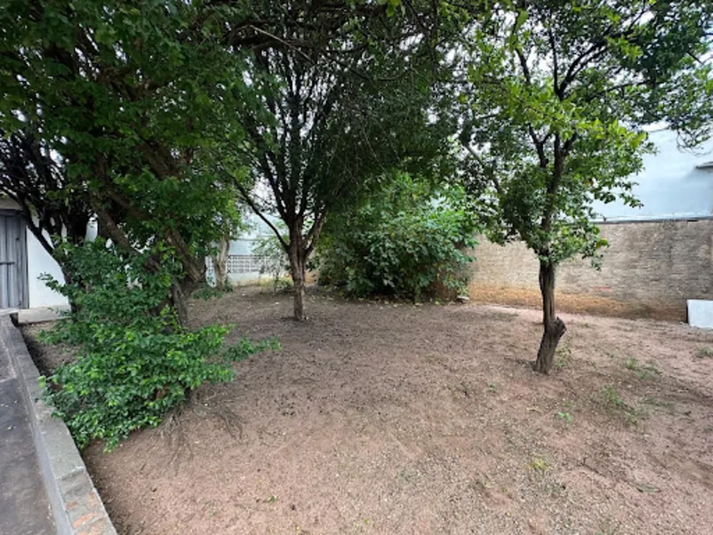 Casa, 3 quartos, 218 m² - Foto 11