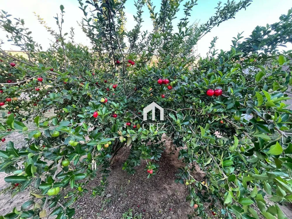 Chácara, 360 m² - Foto 9