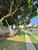 Chácara, 3 quartos, 1000 m² - Foto 4