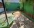Casa, 3 quartos, 200 m² - Foto 1
