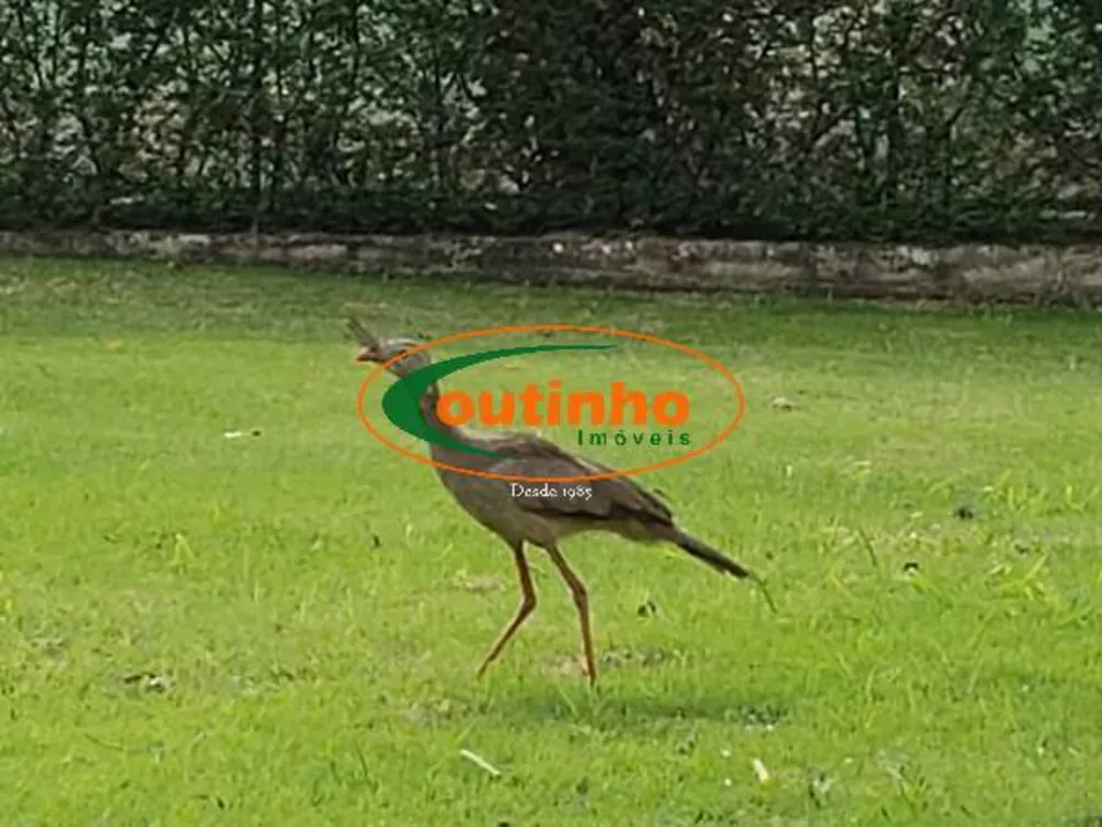 Terreno, 242 m² - Foto 17