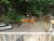 Casa, 3 quartos, 500 m² - Foto 1