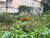 Terreno, 444 m² - Foto 5