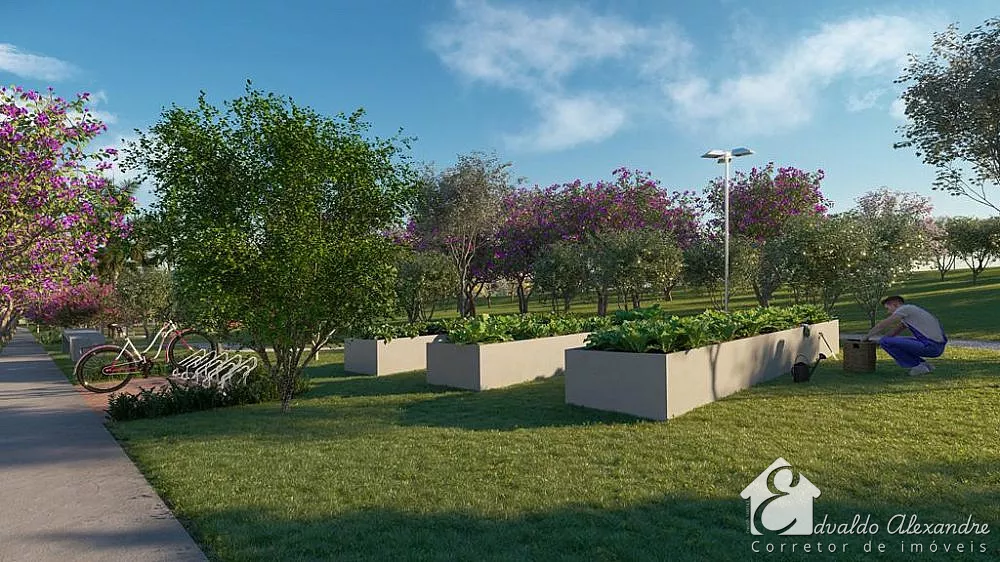 Casa, 2 quartos, 40 m² - Foto 11