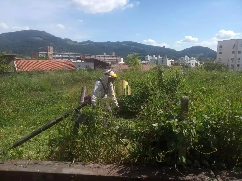 Loteamento e Condomínio - Foto 4