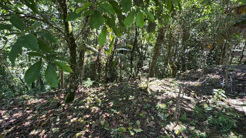 Sítio, 4 quartos, 2000 m² - Foto 14