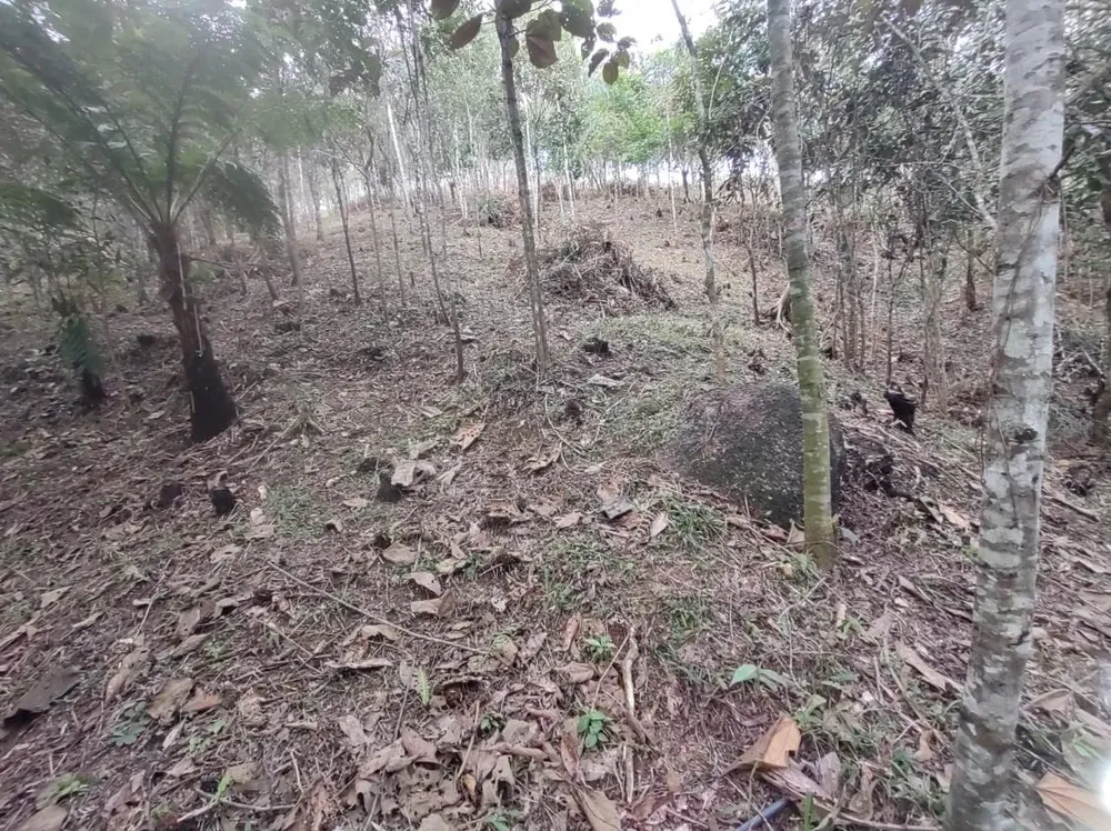 Fazenda, 15 hectares - Foto 6