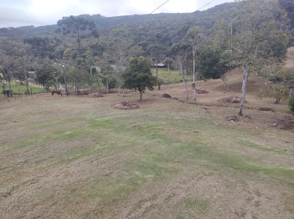 Fazenda, 15 hectares - Foto 8