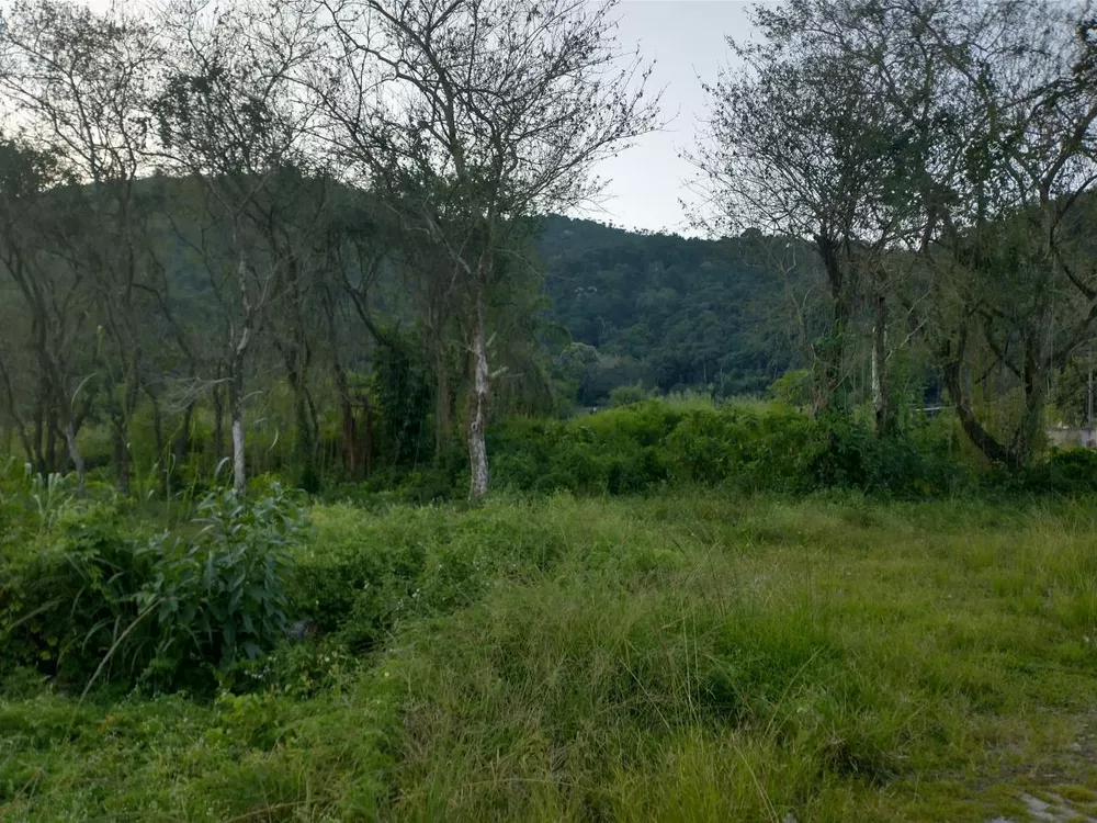Loteamento e Condomínio, 2 hectares - Foto 29