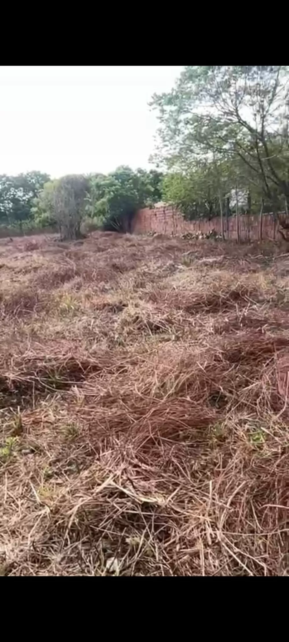 Sítio, 1 quarto, 3 hectares - Foto 14