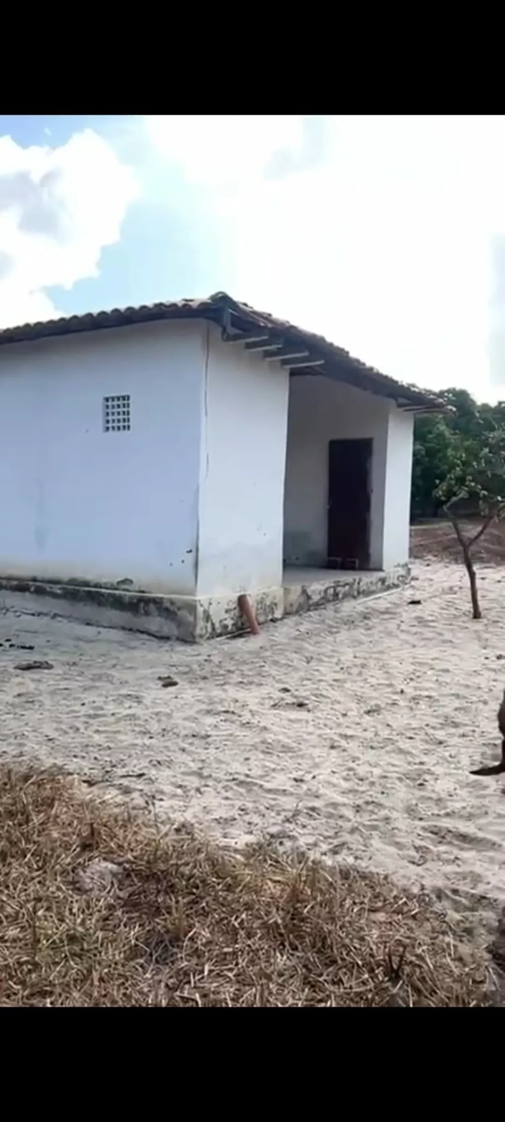 Sítio, 1 quarto, 3 hectares - Foto 11