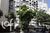 Apartamento, 3 quartos, 88 m² - Foto 37