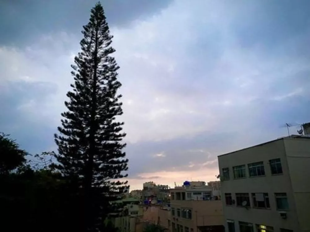 Apartamento, 3 quartos, 87 m² - Foto 5