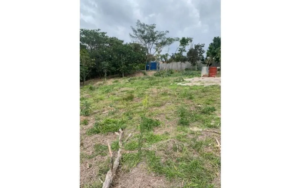 Terreno - Foto 1