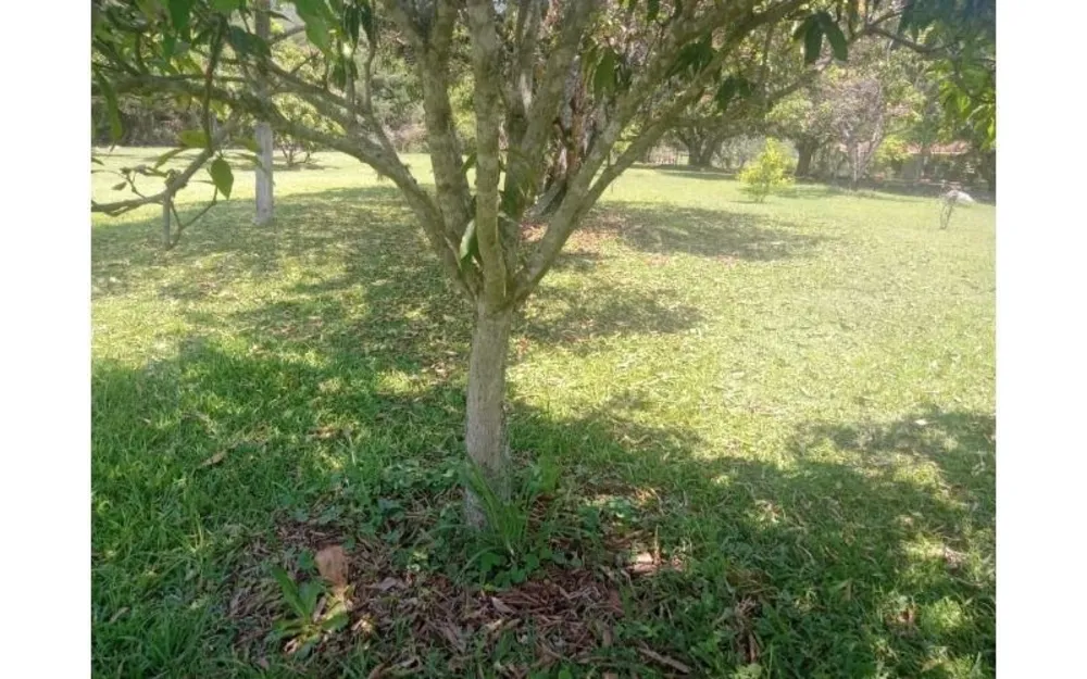 Chácara, 3 quartos, 1 hectares - Foto 2