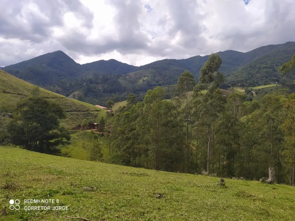 Terreno, 2 hectares - Foto 3