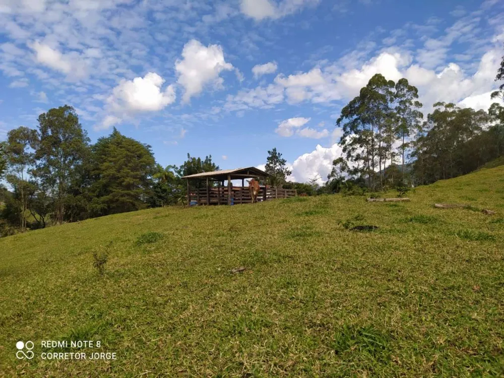 Terreno, 2 hectares - Foto 4