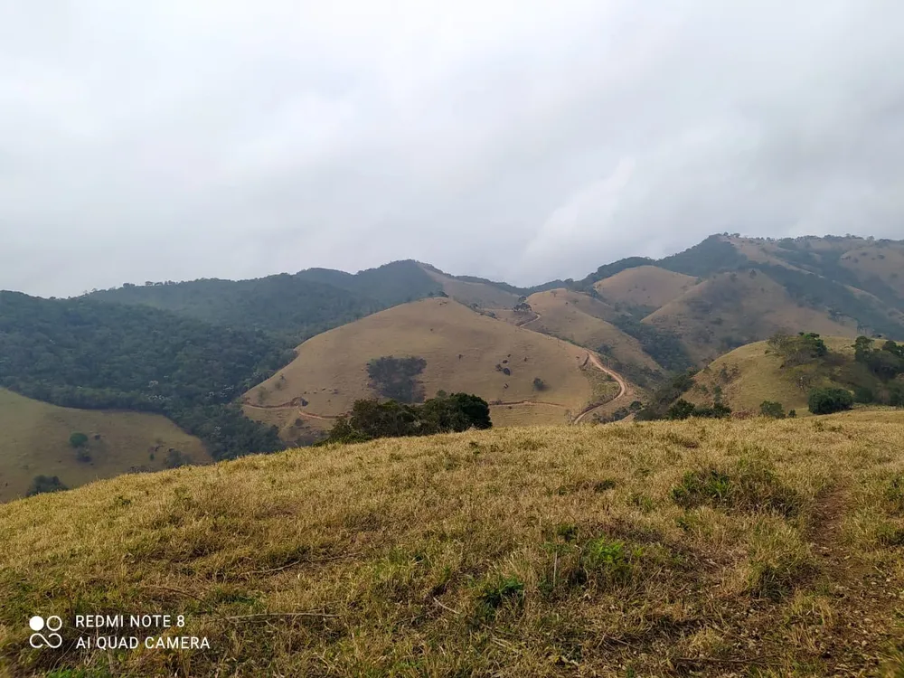Terreno, 7 hectares - Foto 4