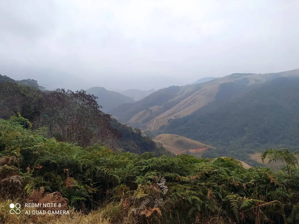 Terreno, 7 hectares - Foto 6