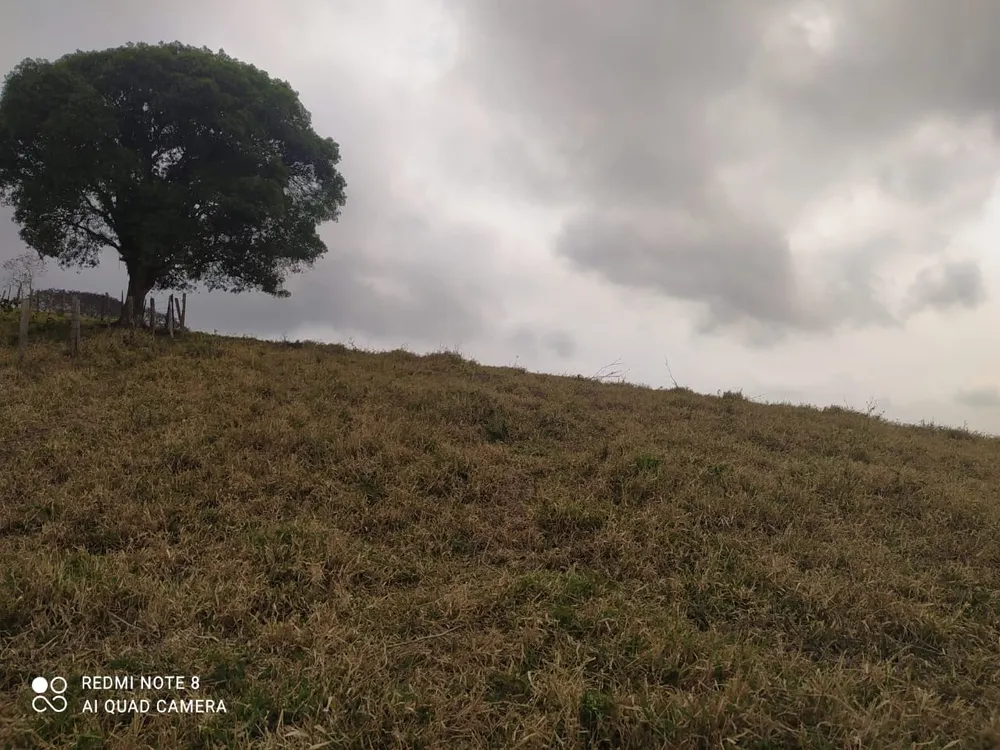 Terreno, 7 hectares - Foto 13