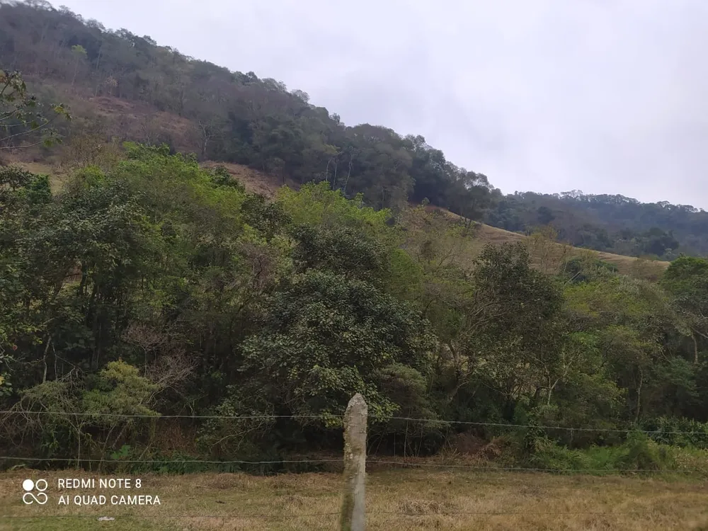 Terreno, 7 hectares - Foto 11