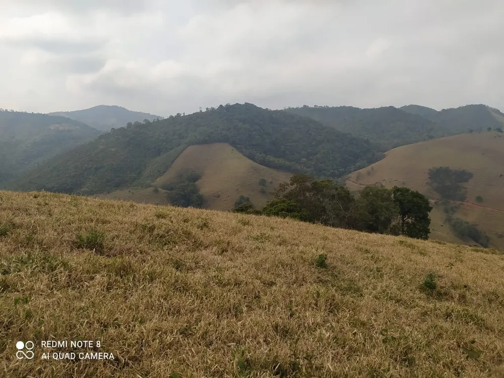 Terreno, 7 hectares - Foto 7
