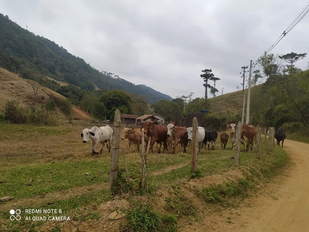 Terreno, 7 hectares - Foto 9