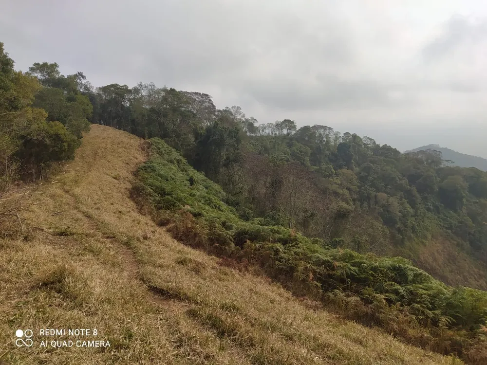 Terreno, 7 hectares - Foto 1