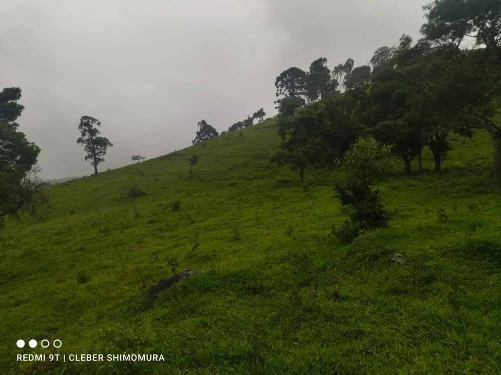 Terreno, 24 hectares - Foto 1