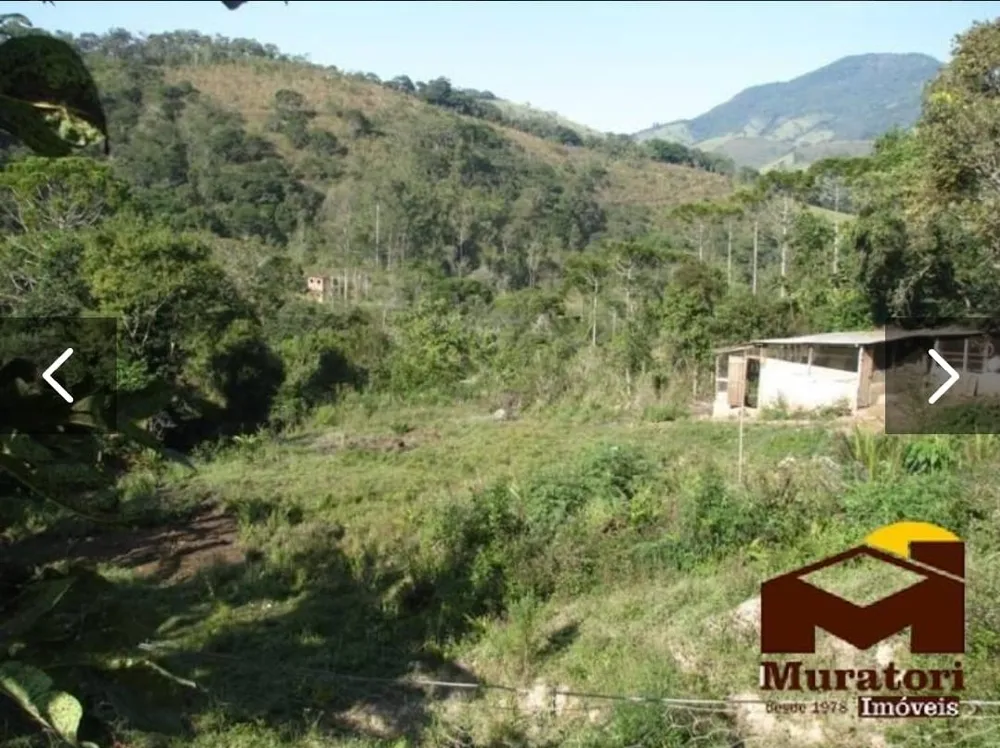 Terreno, 24 hectares - Foto 10
