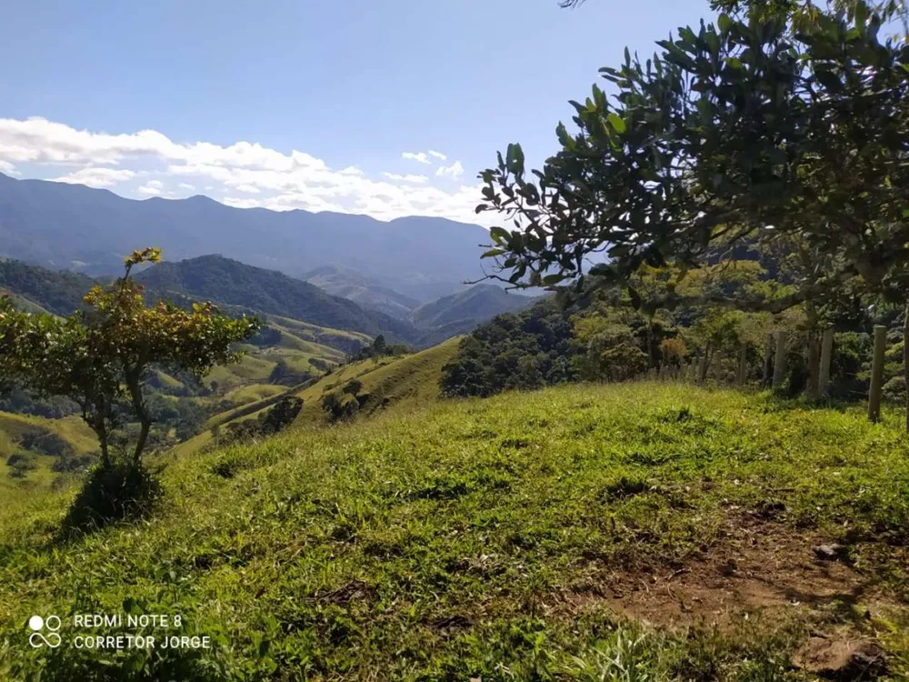 Terreno, 3 hectares - Foto 8