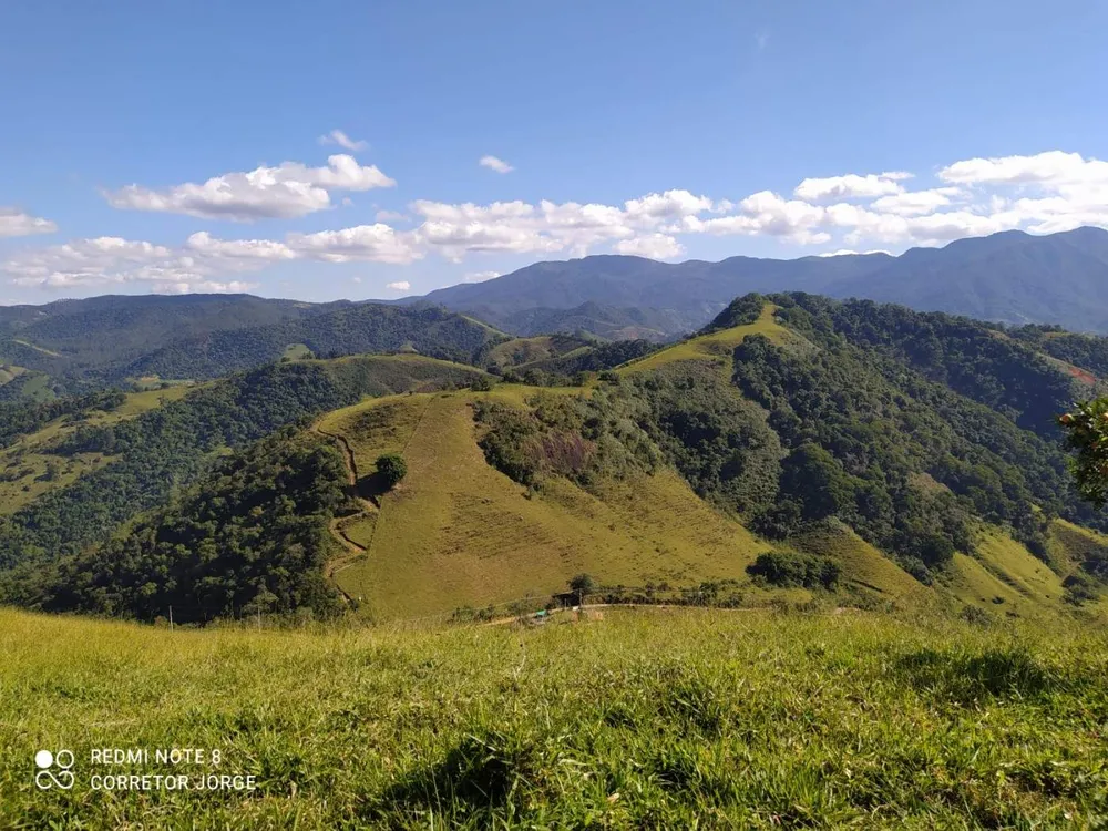 Terreno, 3 hectares - Foto 1