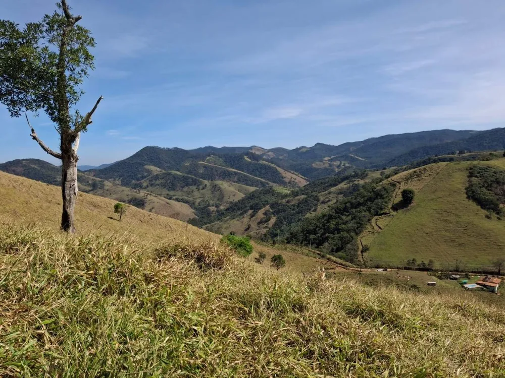 Terreno, 3 hectares - Foto 4