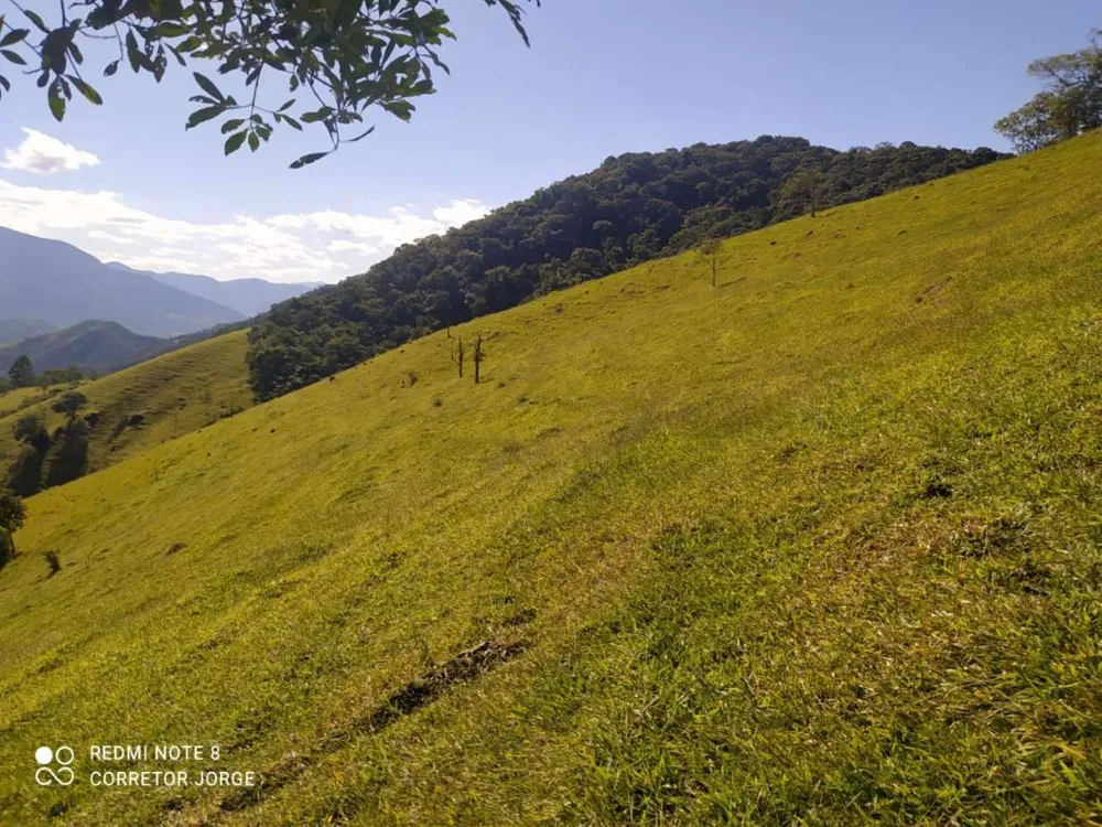Terreno, 3 hectares - Foto 13