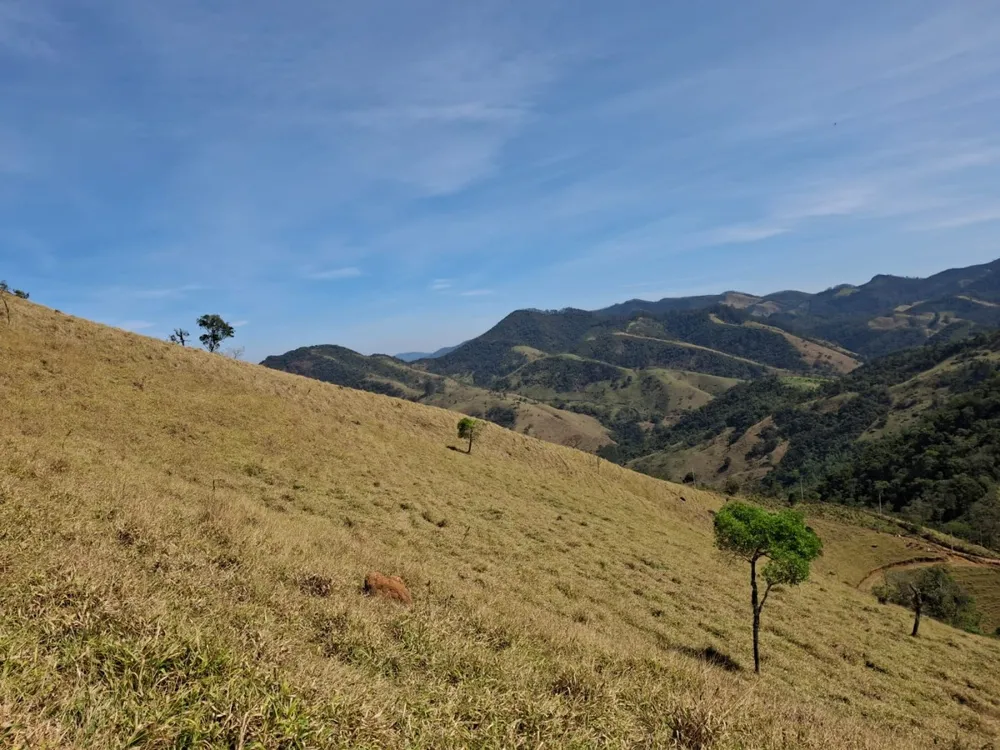 Terreno, 3 hectares - Foto 3
