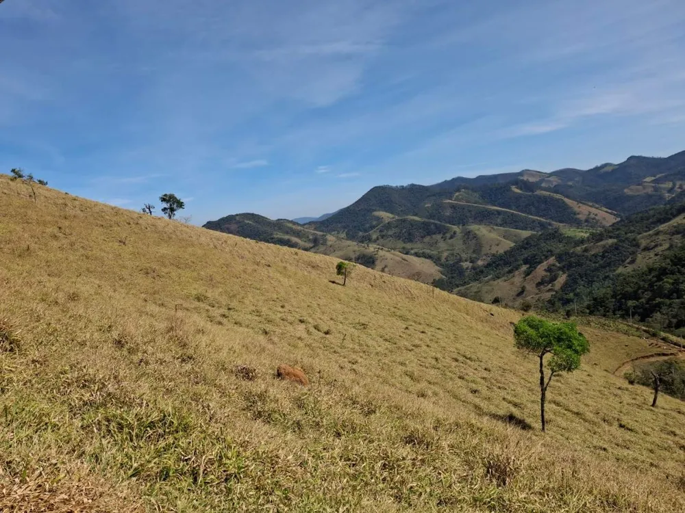 Terreno, 3 hectares - Foto 6