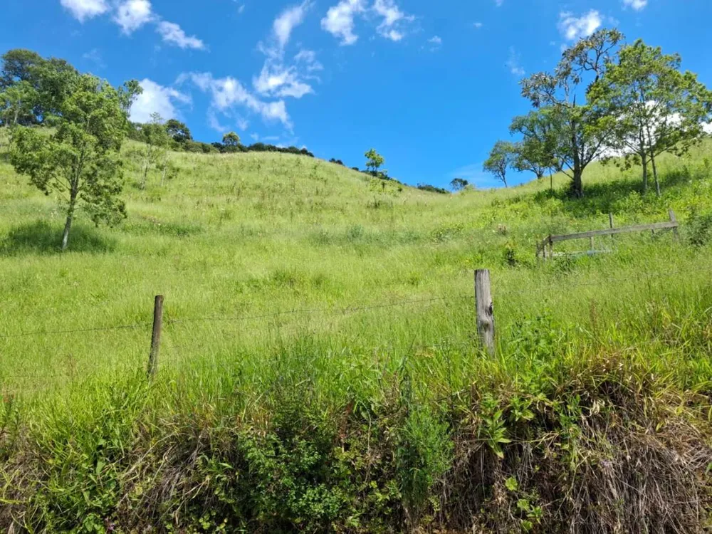 Terreno, 2 hectares - Foto 15